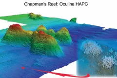 3-D map of Chapman’s Reef. Produced in 2005 with multibeam sonar from an autonomous underwater vehicle (AUV).