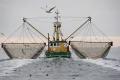 A shrimp boat fishes in the Gulf of Mexico 