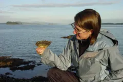 Melissa Frey, Encyclopedia of Life (EOL) Rubenstein Fellow, examines a Pacific oyster (Crassostrea gigas) on a chilly day in Sidney, British Columbia. In addition to holding an EOL Fellowship, Melissa is a Research Associate at the Royal BC Museum, where she continues to engage in taxonomic studies.