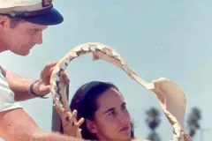 Clark studying a shark jaw
