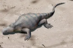 an imagined illustration of an ancient sea turtle ancestor