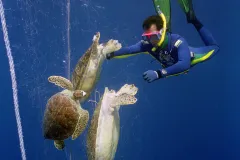 An abandoned fishing net carrying 17 dead sea turtles was discovered off the coast of Bahia, Brazil days after a storm.