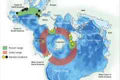a map showing the known sightings of True's beaked whale and Ramari's beaked whale