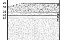 A diagram of the different soil layers located at Hare Harbor, Quebec in 2008.  Wood chips were located at the deepest layer, then whale bone, then codfish bones.