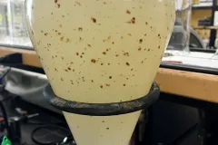 Fish larvae exposed to oil make fish slow to respond to predators, and more likely to take risks. 