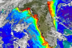 an algae bloom around Florida is documented by a satellite