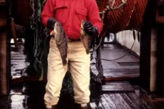 George Watters on the deck of a boat holding two fish. 
