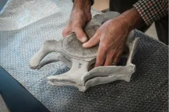A piece of vertebrae from a gray whale specimen is held by hands over a piece of bubble wrap.