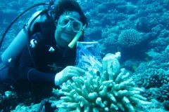 Chris Meyer takes his nephew’s friend, Flat Stanley, for a dive in Moorea.