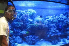 Ocean Portal summer 2011 intern Brandon Adkins poses next to the aquarium in the Smithsonian's Sant Ocean Hall.