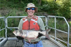 USFW Biologist Jason Goldberg, on a boat, holding an Asian carp 