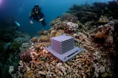A "reef hotel" made of PVS layers on the seafloor. 