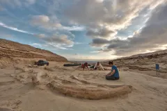 Fossil Whale Digsite at Cerro Ballena, Chile