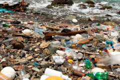 plastic bottles, cans, a yellow hard hat, and other human refuse litters a tropical beach