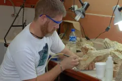Paleobiologist Mark D. Uhen drills away rock to reveal the fossilized bones of Peruvian archaeocetes (ancient whales), in&nbsp;the Vertebrate Paleontology Department at the Museo de Historia Natural de San Marcos. Uhen is a professor at George Mason Univer