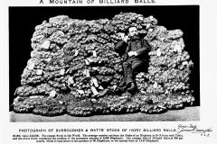 Photo of a mountain of billiard balls made from ivory. 