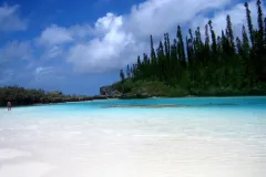 The Lagoons of New Caledonia: Reef Diversity and Associated Ecosystems  site in France was inscribed on the World Heritage List in 2008. The  site features an exceptional diversity of coral and fish species and a  continuum of habitats from mangroves to se