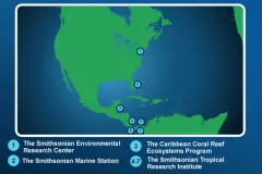 These Smithsonian field stations enable scientists worldwide to conduct long-term studies on mangrove ecosystems.
