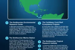 These Smithsonian field stations enable scientists worldwide to conduct long-term studies on mangrove ecosystems.
