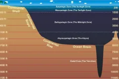 a diagram showing the zones of the ocean