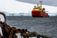 a orange and yellow ship with glaciers in the background