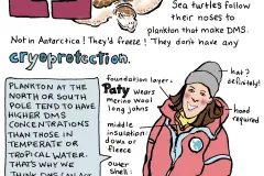 A comic from illustrator Karen Romano Young. 