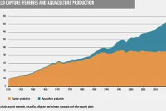 A graph of fisheries and aquaculture