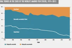 graph of trends in world fish stocks