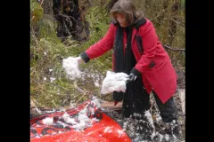 Jacqueline Peta of Sealaska’s board of directors participates in the tree-cutting ceremony.
