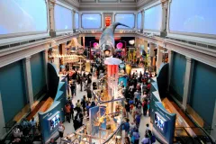 The Sant Ocean Hall is the National Museum of Natural History's largest exhibit, providing visitors with a unique and breathtaking introduction to the majesty of the ocean