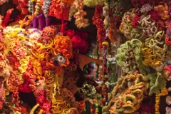 A piece of the Hyperbolic Crochet Coral Reef exhibit.