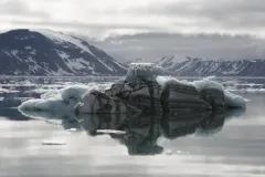 Human activity is increasing in the Arctic marine environment due to climate change. To help the most vulnerable areas, the Global Marine Program of IUCN, along with partners, is convening a series of workshops aimed at enhancing ecosystem-based management and identifying biologically or ecologically important or vulnerable habitats. Burgerbukta, a bay in Svalbard, Norway, is being managed for ecosystem protection.