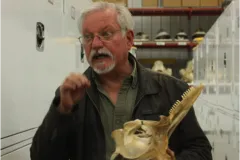 Charley Potter, Marine Mammals Collection Manager, holding a dolphin skull at the Museum Support Center. The Smithsonian National Museum of Natural History houses a collection of hundreds of whale earwax plugs. 
