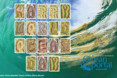 Happy World Ocean Day!