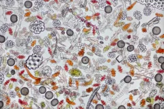 Coral Sand