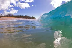 A wave curls near the shore.