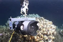 Lights attached to this deep-sea camera system enable scientists to capture detailed images of deep-sea corals in otherwise dark water.