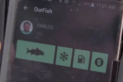 Interfaz de usuario de la Fish App