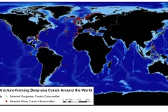 This map shows where some of the most significant species of deep-sea corals are located.