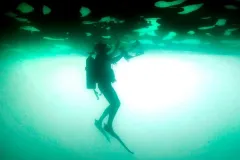 A diver clears the bottom of a cargo ship of specimens. 