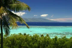 A view of the Pacific from Moorea, where scientists are working to catalog the life forms of the entire ecosystem.