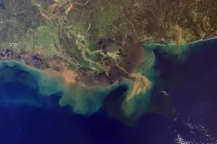 A sediment plume from the mouth of the Mississippi River into the Gulf. 