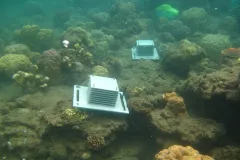 Two ARMS sit on the ocean floor. 
