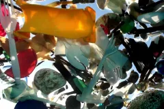 A photo of plastic trash floating in the water, taken from below the surface.