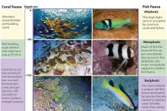 A chart that shows the various classification of reef zones off Curaçao.