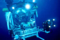 Ocean scientists inside the Johnson-Sea-Link submersible travel to deep-sea coral ecosystems up to 3,000 m (9,843 ft) below the ocean’s surface.