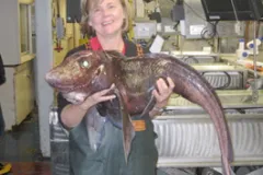 Ruth Meadows holds a Chimaera, a strange looking distant relative of the shark.