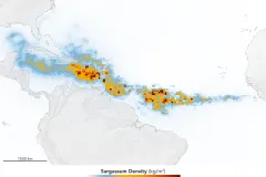 a heat map showing a thick band from Africa, across the northern coast of South America and into the Gulf of Mexico 