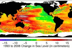 A map of sea level change in cm from 1993 to 2008. 