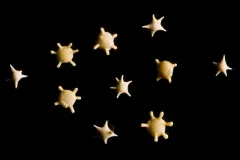10 grains of star shaped sand collected from southern Japan